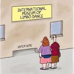 Meet your Posher, Snarky Amy